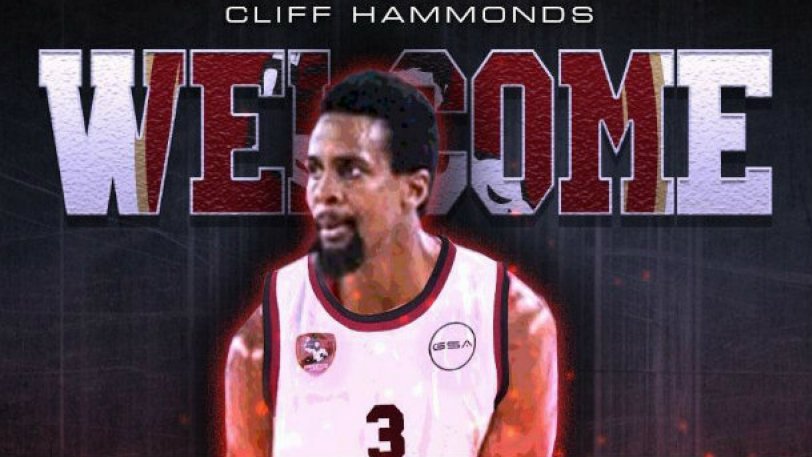 hamonts