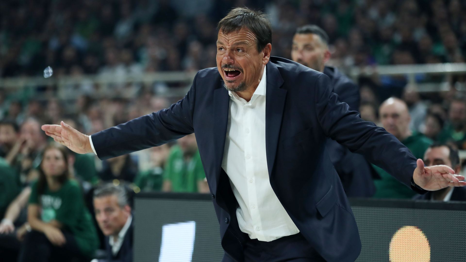 Ataman Intime9