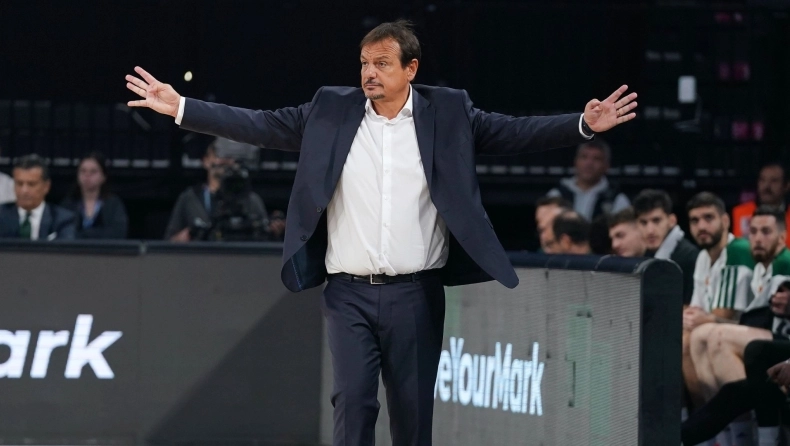 ataman 13232432