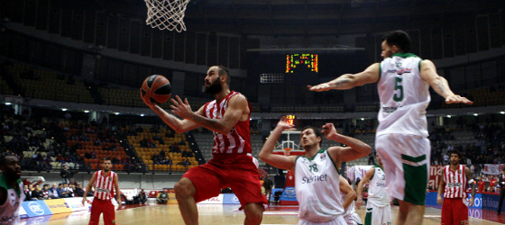 span zielona