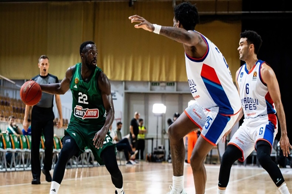 pao efes grant