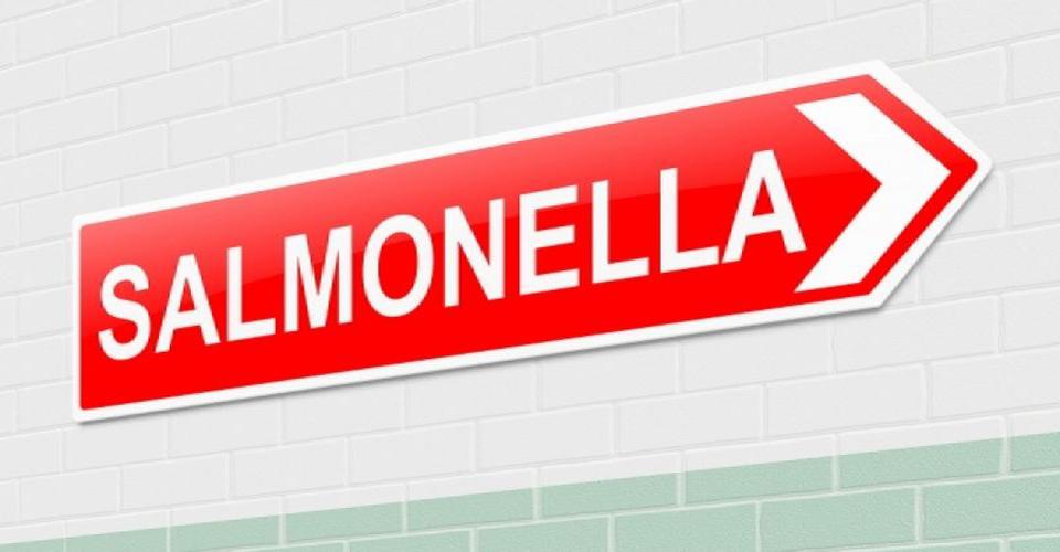 salmonela